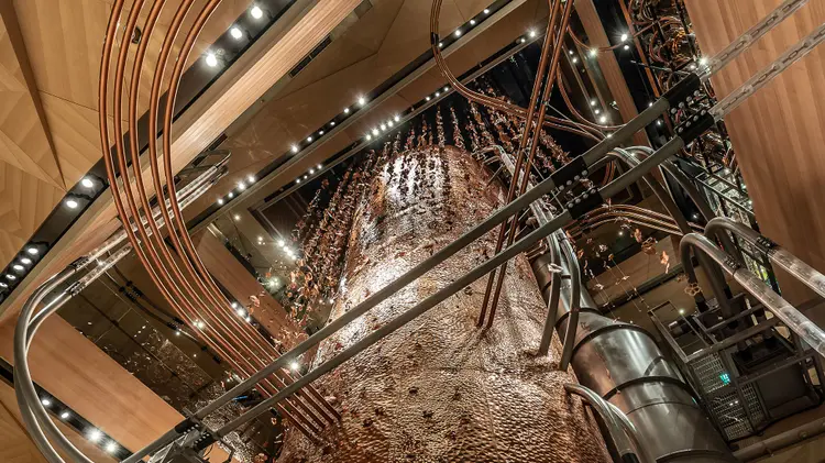 Multiple pipes running overhead carrying coffee beans from from the four-story Copper Cask to coffee silos