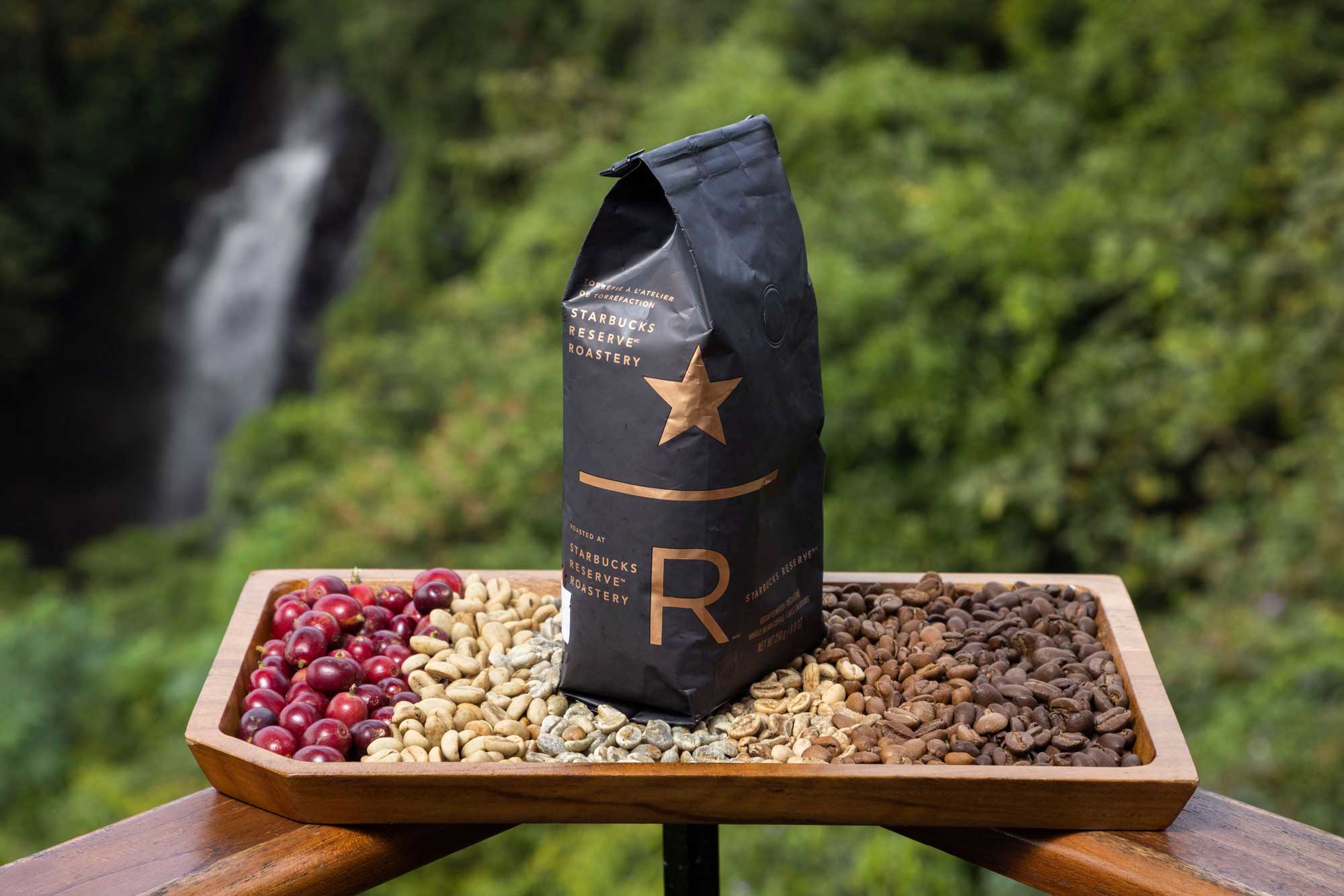 Welcome to the Starbucks Hacienda Alsacia Coffee Farm | Starbucks